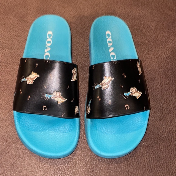Coach slides - Picture 2 of 6